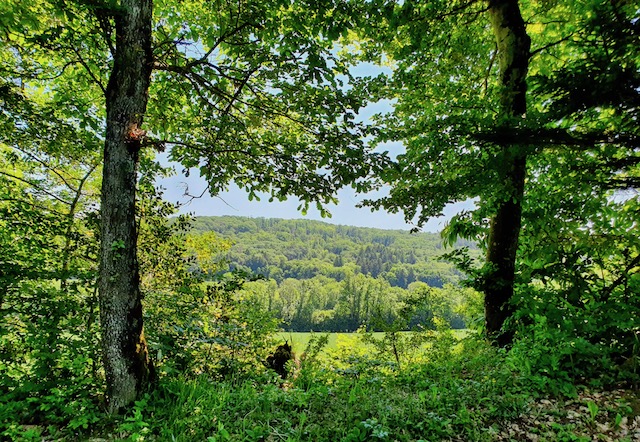 Fenêtre sur le rêve