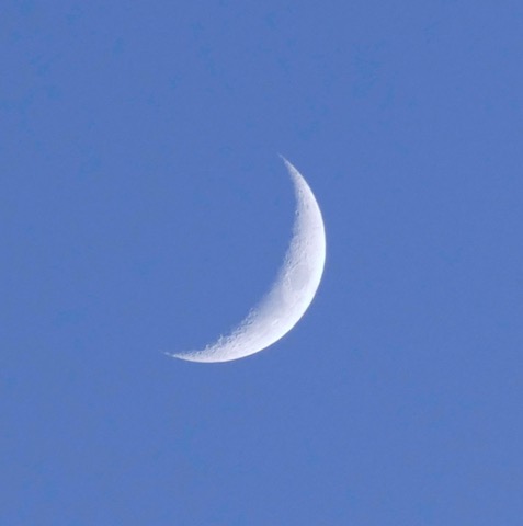 Croissant de lune