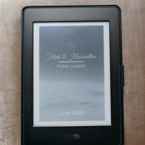 Recueil poésie ebook