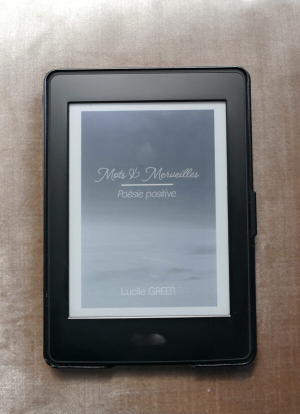 Recueil poésie ebook