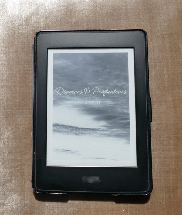 Recueil poésie ebook